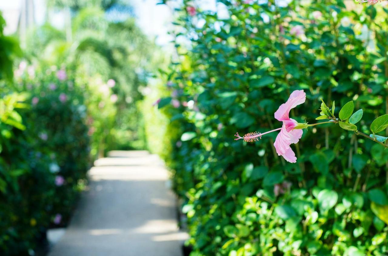 All Seasons Naiharn Phuket Nai Harn Eksteriør billede